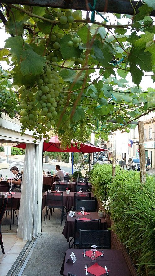 Terrasse sous la treille de vigne